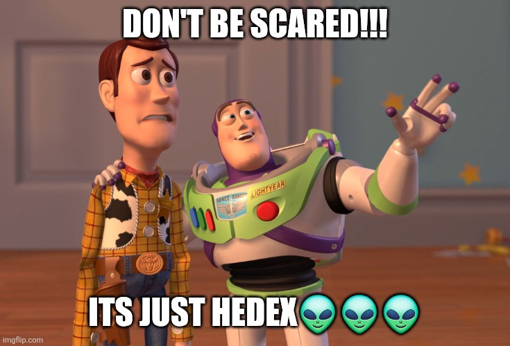 X, X Everywhere Meme | DON'T BE SCARED!!! ITS JUST HEDEX👽👽👽 | image tagged in memes,x x everywhere | made w/ Imgflip meme maker