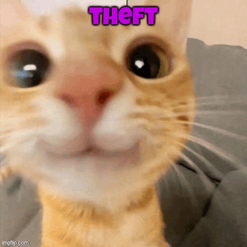 kitty | theft | image tagged in him | made w/ Imgflip meme maker
