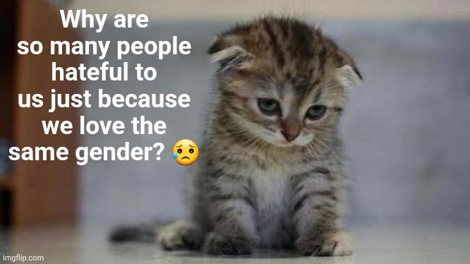 I still don't understand homophobia. Being hated because of love :( | Why are so many people hateful to us just because we love the same gender? 😥 | image tagged in sad kitten | made w/ Imgflip meme maker