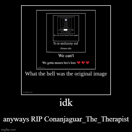 idk | anyways RIP Conanjaguar_The_Therapist | image tagged in funny,demotivationals | made w/ Imgflip demotivational maker