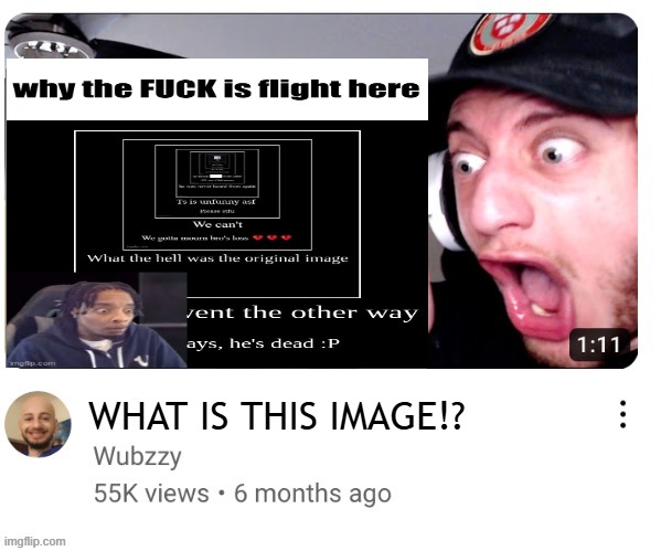 Wubzzy Reaction Blank | WHAT IS THIS IMAGE!? | image tagged in wubzzy reaction blank | made w/ Imgflip meme maker