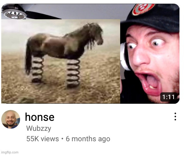 honse | honse | image tagged in wubzzy reaction blank | made w/ Imgflip meme maker