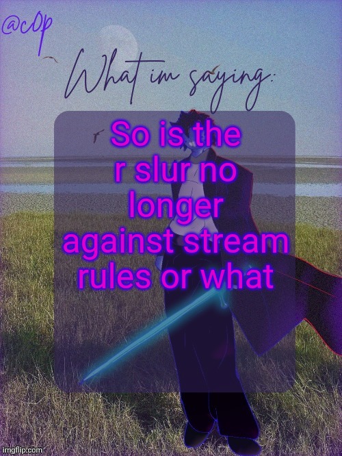 ‎ | So is the r slur no longer against stream rules or what | image tagged in c0p template by grace | made w/ Imgflip meme maker