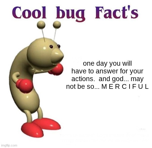 Cool Bug Facts | one day you will have to answer for your actions.  and god... may not be so... M E R C I F U L | image tagged in cool bug facts | made w/ Imgflip meme maker