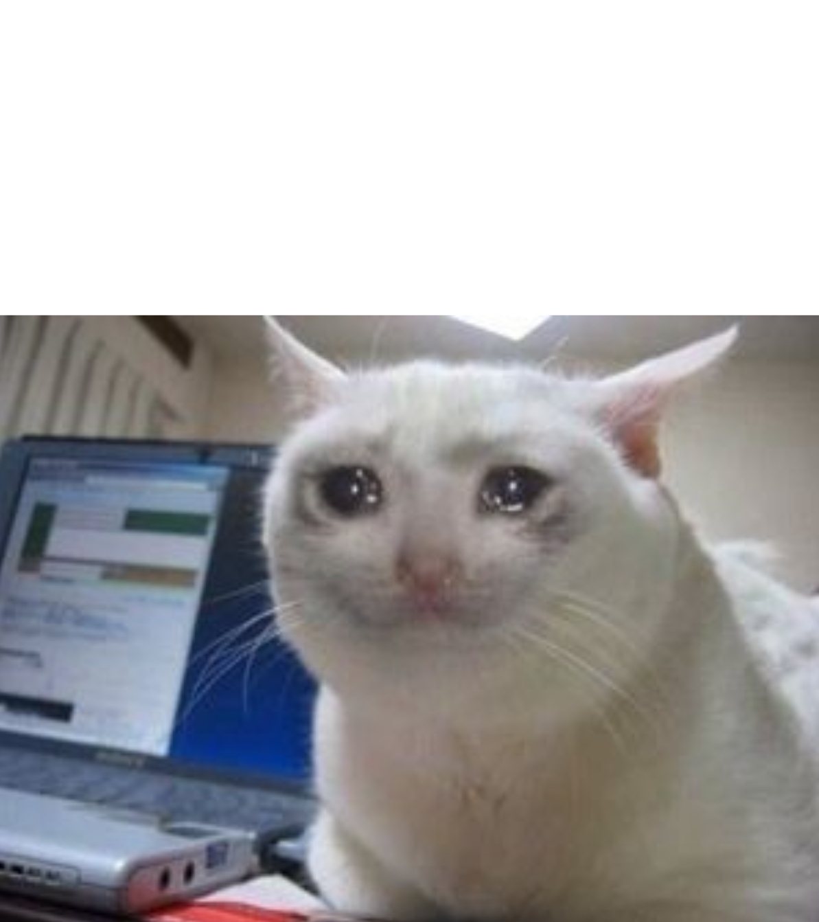Very Sad Cat Blank Meme Template