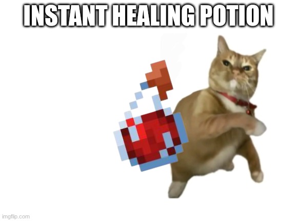 when your pet is hurt | INSTANT HEALING POTION | image tagged in throwing cat new | made w/ Imgflip meme maker
