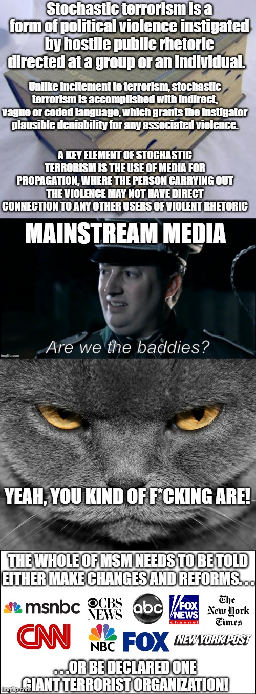 And FOX News isn't any better! | Stochastic terrorism is a form of political violence instigated by hostile public rhetoric directed at a group or an individual. Unlike incitement to terrorism, stochastic terrorism is accomplished with indirect, vague or coded language, which grants the instigator plausible deniability for any associated violence. A KEY ELEMENT OF STOCHASTIC TERRORISM IS THE USE OF MEDIA FOR PROPAGATION, WHERE THE PERSON CARRYING OUT THE VIOLENCE MAY NOT HAVE DIRECT CONNECTION TO ANY OTHER USERS OF VIOLENT RHETORIC; MAINSTREAM MEDIA; YEAH, YOU KIND OF F*CKING ARE! THE WHOLE OF MSM NEEDS TO BE TOLD EITHER MAKE CHANGES AND REFORMS. . . . . .OR BE DECLARED ONE GIANT TERRORIST ORGANIZATION! | image tagged in dictionary,are we the baddies,grumpy graey cat,mainstream media,politics,political meme | made w/ Imgflip meme maker