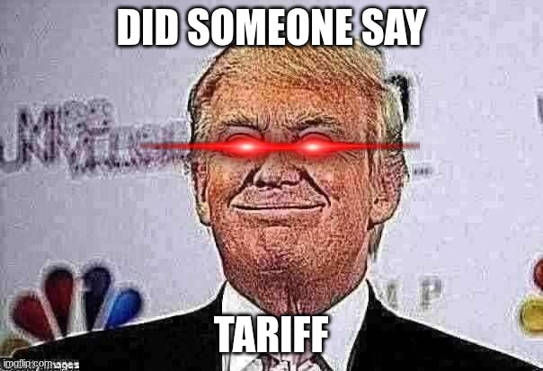 Donald trump approves | DID SOMEONE SAY TARIFF | image tagged in donald trump approves | made w/ Imgflip meme maker