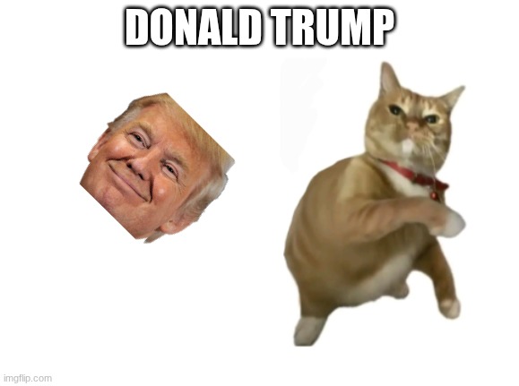 throwing cat new | DONALD TRUMP | image tagged in throwing cat new | made w/ Imgflip meme maker