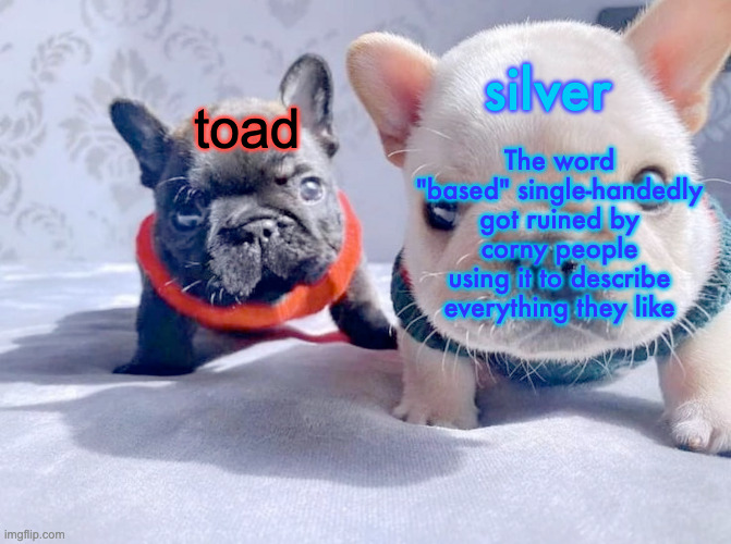And it pmo so badly because it used to be a good word | The word "based" single-handedly got ruined by corny people using it to describe everything they like | image tagged in silver and toad's announcement temp | made w/ Imgflip meme maker