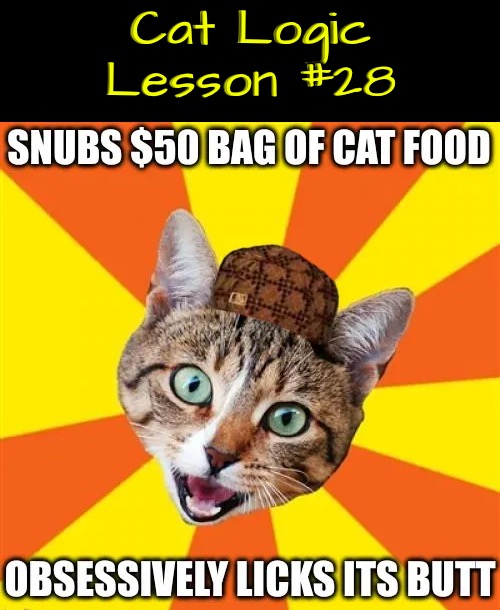 Lesson #28 | Cat Logic Lesson #28 | image tagged in cats,funny cats,life lessons,illogical,scumbag,dafuq | made w/ Imgflip meme maker