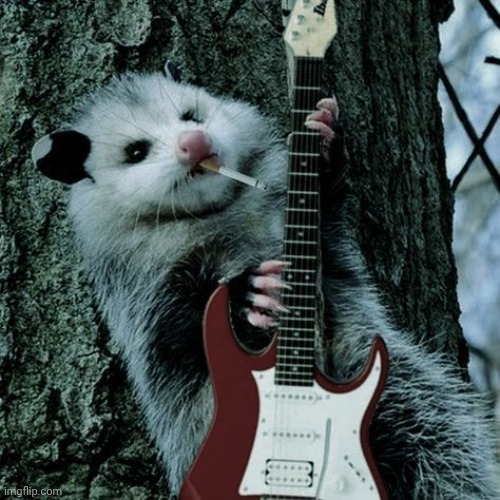 This opposum is so me | made w/ Imgflip meme maker