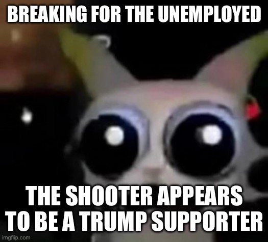 HOW THE HECK? | BREAKING FOR THE UNEMPLOYED; THE SHOOTER APPEARS TO BE A TRUMP SUPPORTER | image tagged in scared car | made w/ Imgflip meme maker