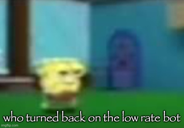 spog | who turned back on the low rate bot | image tagged in spog | made w/ Imgflip meme maker