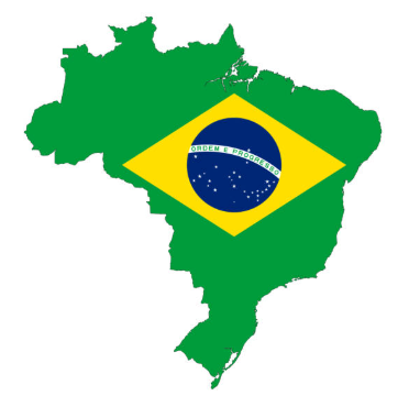 Brasil Blank Meme Template