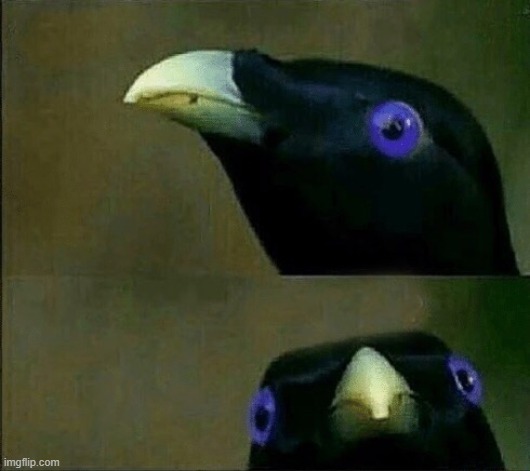 it smoked the blue weed | image tagged in you want sum fuk | made w/ Imgflip meme maker
