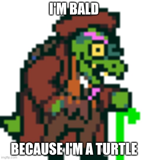 That makes perfectly sans- uhhh i mean sense | I'M BALD; BECAUSE I'M A TURTLE | image tagged in gerson boom deltarune,deltarune,turtle,bald | made w/ Imgflip meme maker