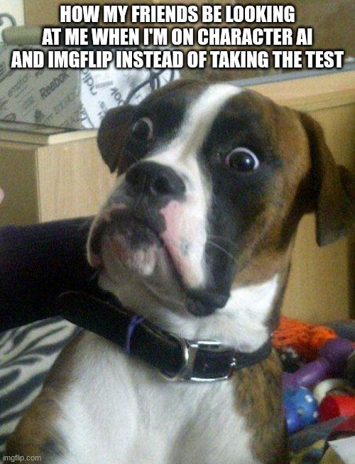 Blankie the Shocked Dog | HOW MY FRIENDS BE LOOKING AT ME WHEN I'M ON CHARACTER AI AND IMGFLIP INSTEAD OF TAKING THE TEST | image tagged in blankie the shocked dog | made w/ Imgflip meme maker