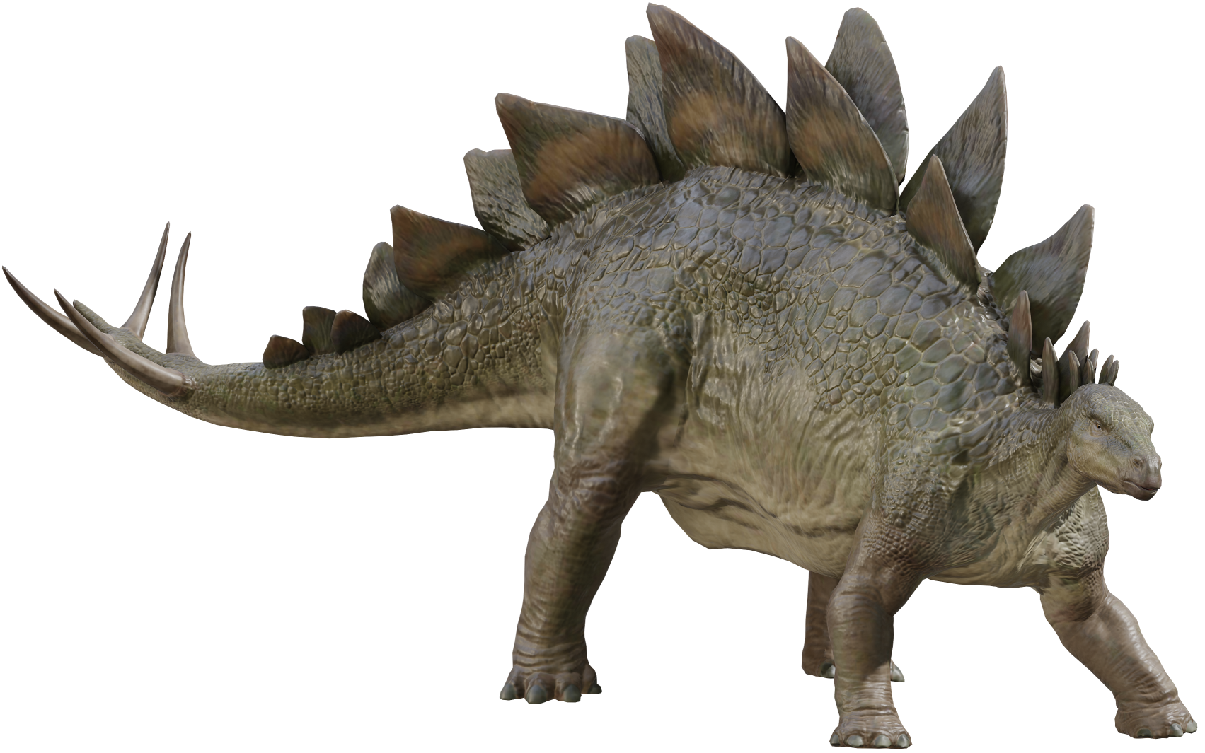 Stegosaurus 9 Blank Meme Template