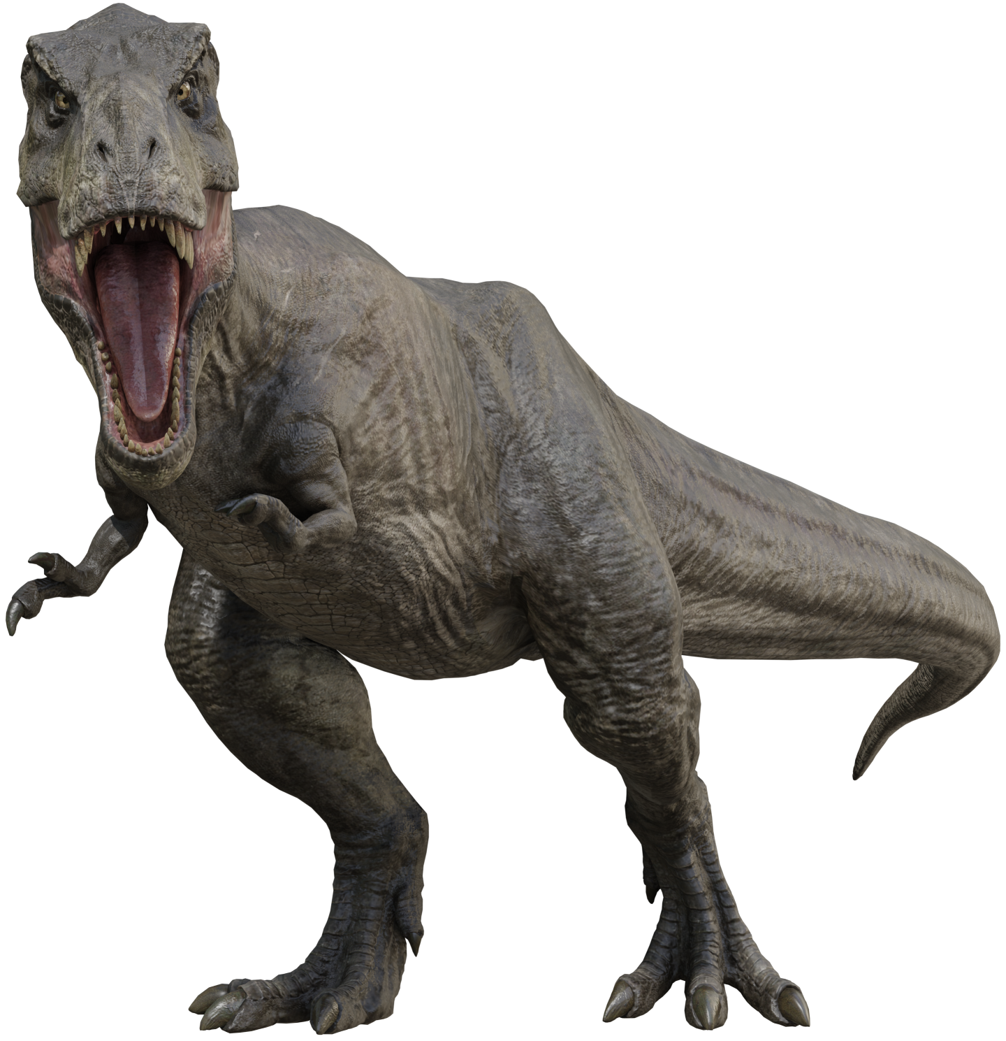 Rexy 30 Blank Meme Template