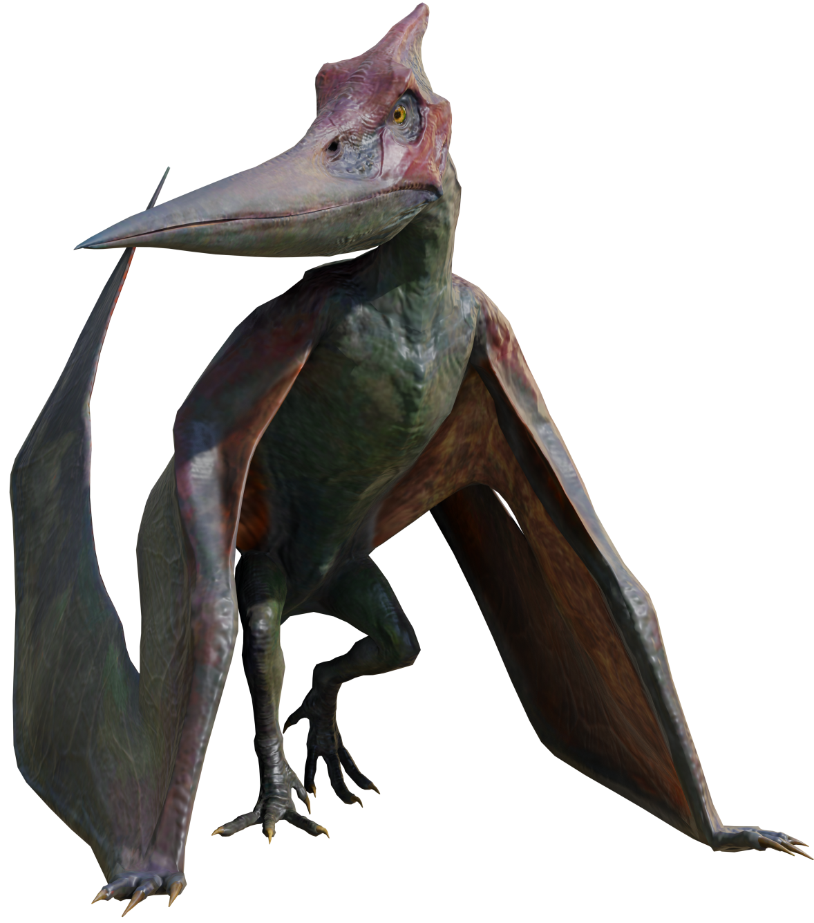 Pteranodon 6 (JW Design) Blank Meme Template