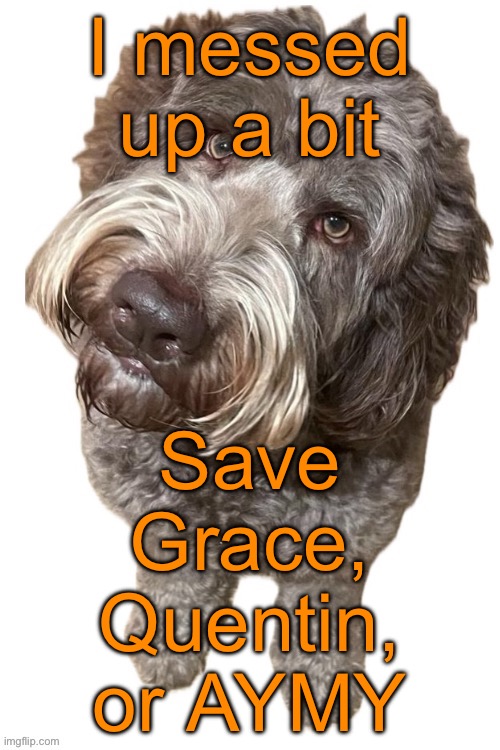 Norther's dog | I messed up a bit; Save Grace, Quentin, or AYMY | image tagged in norther's dog | made w/ Imgflip meme maker