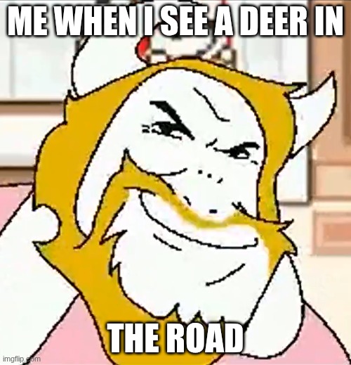DRIVING IN MY CAR RIGHT AFTER A BEER!!!! | ME WHEN I SEE A DEER IN; THE ROAD | image tagged in asgore smug | made w/ Imgflip meme maker