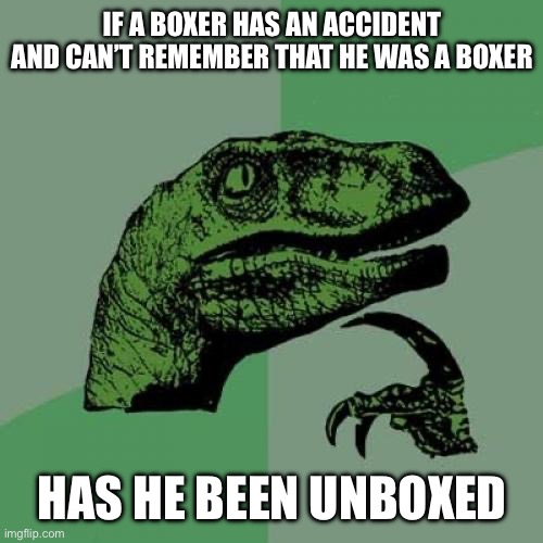 Hmmmmmm | IF A BOXER HAS AN ACCIDENT AND CAN’T REMEMBER THAT HE WAS A BOXER; HAS HE BEEN UNBOXED | image tagged in memes,philosoraptor | made w/ Imgflip meme maker