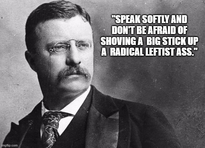 Now It's time for a Quote  from your 26th president. LOL | "SPEAK SOFTLY AND DON'T BE AFRAID OF SHOVING A  BIG STICK UP A  RADICAL LEFTIST ASS." | image tagged in theodore roosevelt,leftists,democrats,stick,quote | made w/ Imgflip meme maker
