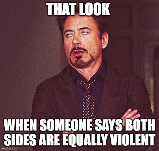 450 till I die... Or whatever | THAT LOOK; WHEN SOMEONE SAYS BOTH SIDES ARE EQUALLY VIOLENT | image tagged in 450 till i die or whatever | made w/ Imgflip meme maker