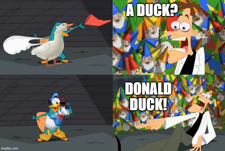 An ordinary Platypus? | A DUCK? DONALD DUCK! | image tagged in an ordinary platypus | made w/ Imgflip meme maker