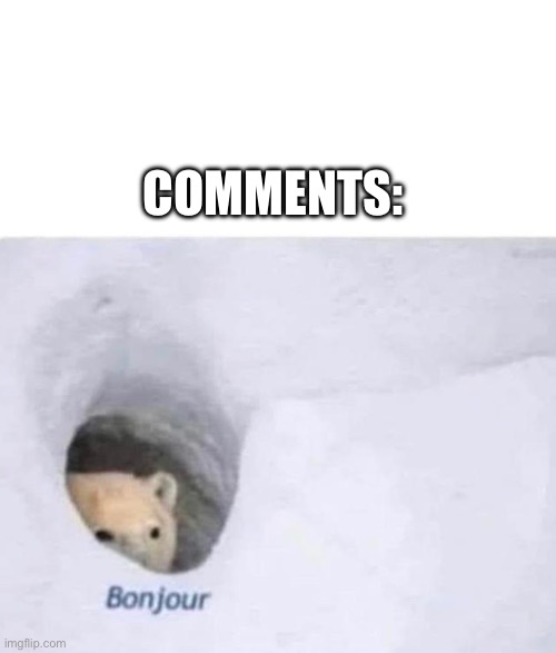 COMMENTS: | image tagged in bonjour | made w/ Imgflip meme maker
