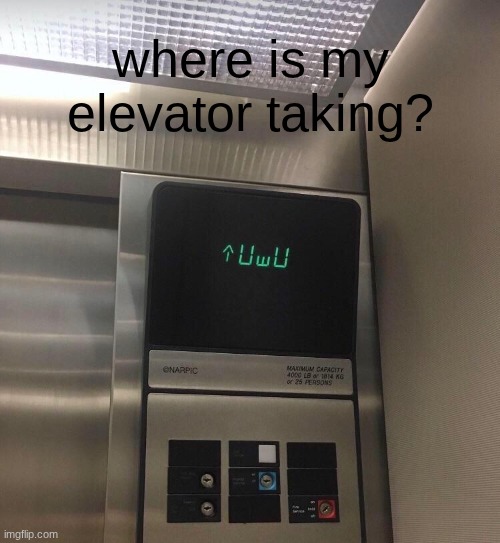Must be heading up to bro rn. | where is my elevator taking? | image tagged in elevator,uwu | made w/ Imgflip meme maker