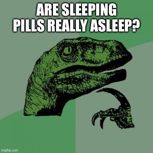 Hmmmmmm | ARE SLEEPING PILLS REALLY ASLEEP? | image tagged in memes,philosoraptor | made w/ Imgflip meme maker