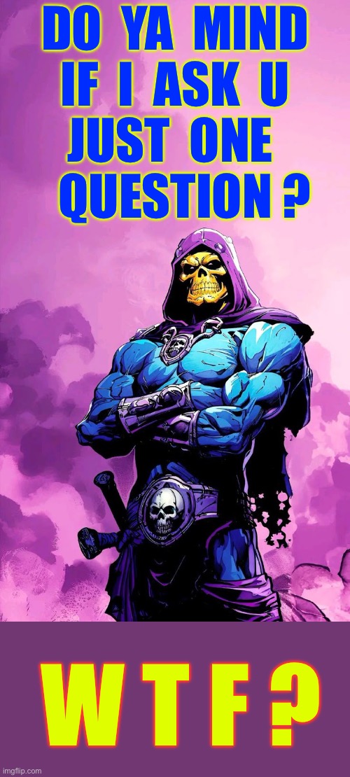 I’m No MATHEMATICIAN , But … That Equates To 2 QUESTIONS !!!  : ) | DO  YA  MIND
IF  I  ASK  U
JUST  ONE 
  QUESTION ? W T F ? | image tagged in skeletor template | made w/ Imgflip meme maker