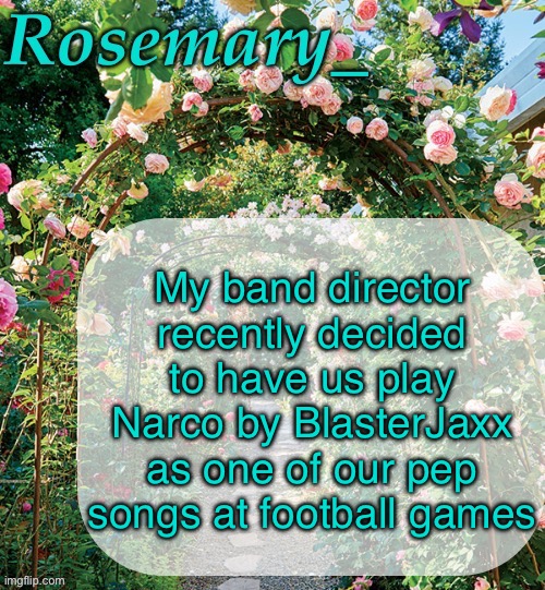 Banger song but it gets annoying after a while | My band director recently decided to have us play Narco by BlasterJaxx as one of our pep songs at football games | image tagged in rosemary_ template | made w/ Imgflip meme maker