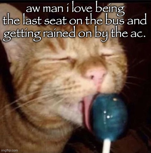 so glad i brought a jacket | aw man i love being the last seat on the bus and getting rained on by the ac. | image tagged in silly goober 2 | made w/ Imgflip meme maker