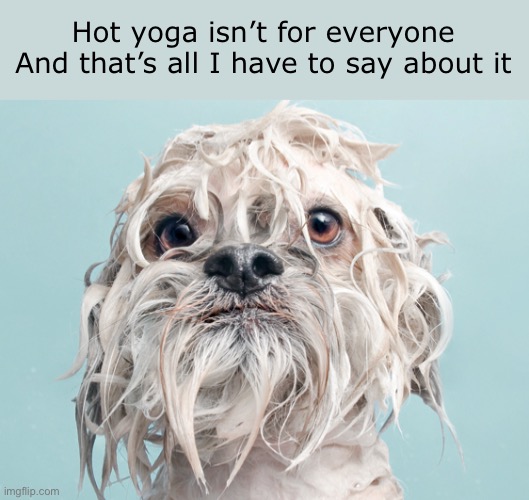 Come to yoga with me, she said. You’ll love it, she said… | Hot yoga isn’t for everyone
And that’s all I have to say about it | image tagged in funny memes,friends,too hot | made w/ Imgflip meme maker