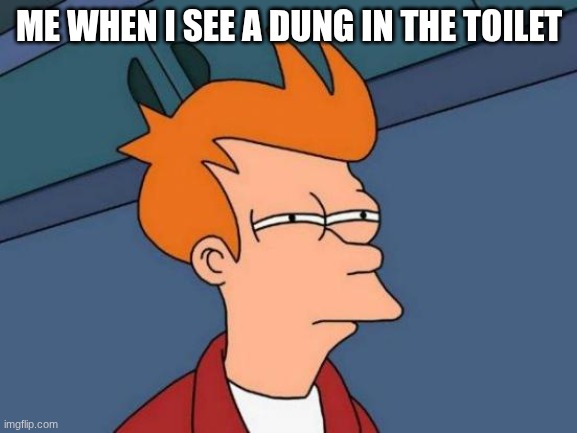 Futurama Fry | ME WHEN I SEE A DUNG IN THE TOILET | image tagged in memes,futurama fry | made w/ Imgflip meme maker