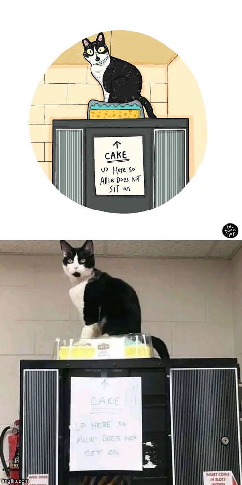 Art imitates life… | image tagged in cats,cartoon,cake,top of refrigerator,outsmarted | made w/ Imgflip meme maker