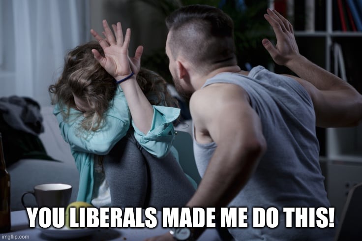 Abusive husband beating wife woman JPP MAGAt | YOU LIBERALS MADE ME DO THIS! | image tagged in abusive husband beating wife woman jpp magat | made w/ Imgflip meme maker