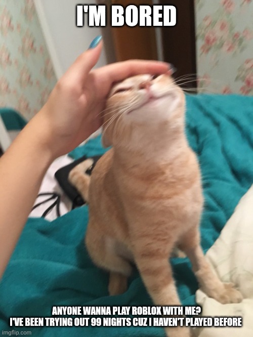 Game is actually kinda fun, but idk I wanna play with ya'll cuz it seems funni | I'M BORED; ANYONE WANNA PLAY ROBLOX WITH ME?
I'VE BEEN TRYING OUT 99 NIGHTS CUZ I HAVEN'T PLAYED BEFORE | image tagged in cat pat | made w/ Imgflip meme maker
