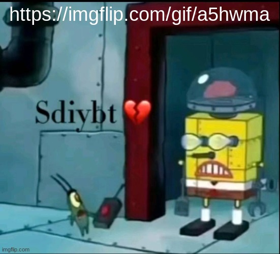 sdiybt | https://imgflip.com/gif/a5hwma | image tagged in sdiybt | made w/ Imgflip meme maker