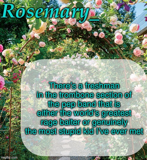 Rosemary_ template | There’s a freshman in the trombone section of the pep band that is either the world’s greatest rage baiter or genuinely the most stupid kid I’ve ever met | image tagged in rosemary_ template | made w/ Imgflip meme maker