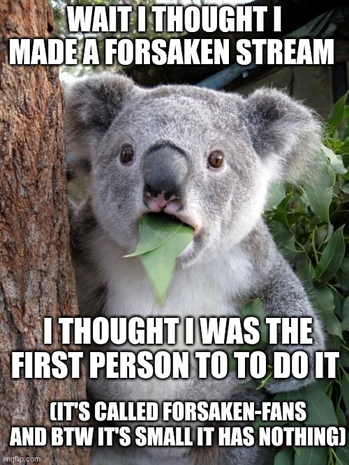 Surprised Koala | WAIT I THOUGHT I MADE A FORSAKEN STREAM; I THOUGHT I WAS THE FIRST PERSON TO TO DO IT; (IT'S CALLED FORSAKEN-FANS AND BTW IT'S SMALL IT HAS NOTHING) | image tagged in memes,surprised koala | made w/ Imgflip meme maker