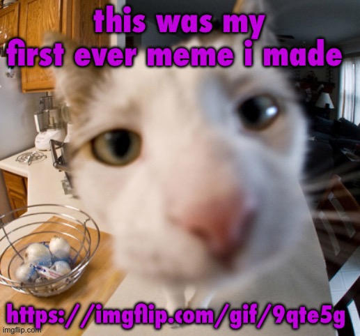 he | this was my first ever meme i made; https://imgflip.com/gif/9qte5g | image tagged in he | made w/ Imgflip meme maker