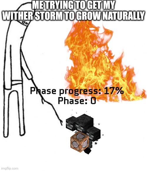 Yes I know that it looks like I got the wither storm from Temu | ME TRYING TO GET MY WITHER STORM TO GROW NATURALLY; Phase progress: 17%
Phase: 0 | image tagged in minecraft memes,minecraft story mode | made w/ Imgflip meme maker