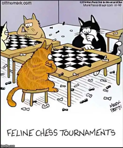 It always ends in a draw | image tagged in repost,always a draw | made w/ Imgflip meme maker