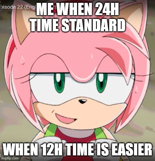 Time Format | ME WHEN 24H TIME STANDARD; WHEN 12H TIME IS EASIER | image tagged in amy rose | made w/ Imgflip meme maker