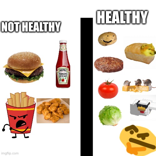Hamburber logic | NOT HEALTHY; HEALTHY | image tagged in wtf,free schlep | made w/ Imgflip meme maker